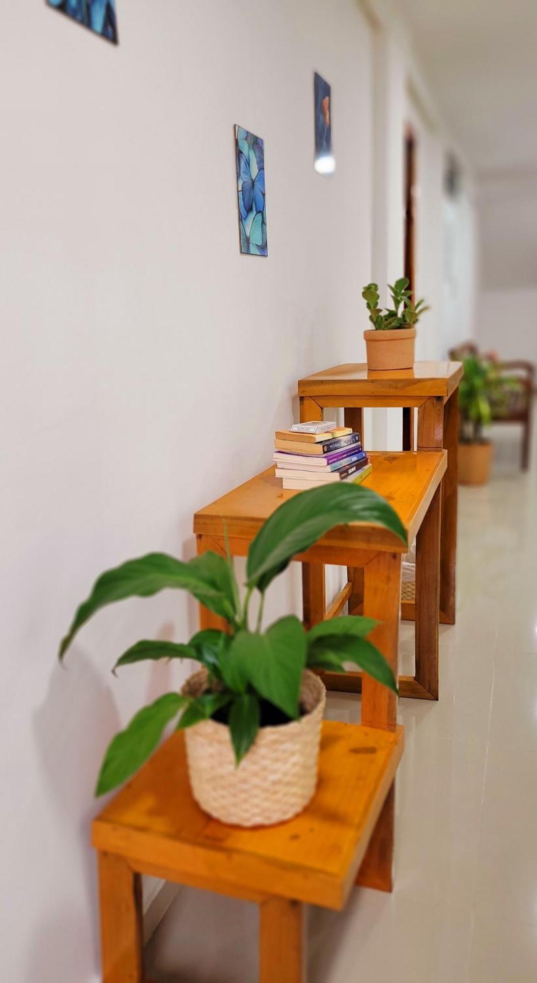 Praieira Hostel&Pousada Itacaré Dış mekan fotoğraf